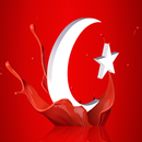 Tapeta turecka flaga aplikacja