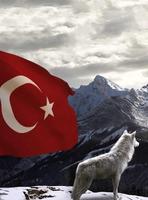 Fond d'écran drapeau turc capture d'écran 3
