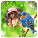 Birds Photo Frames APK