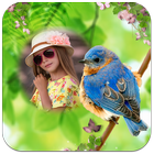 Birds Photo Frames आइकन