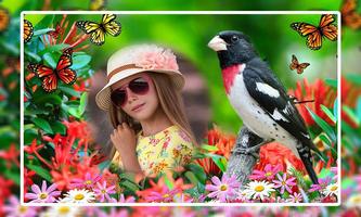 Birds Photo Frames पोस्टर