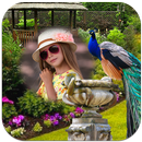 Peacock Photo Frames APK