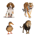Kids Learn Animals Sounds & Animals English Names APK
