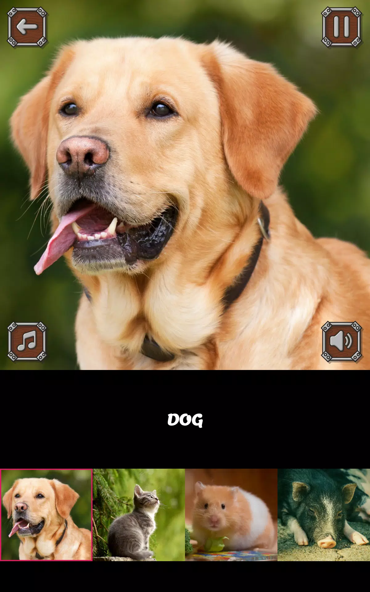 Kids Learn Animals Sounds & Animals English Names APK for Android Download Kids Learn Animals Sounds & Animals English Names APK for Android Download