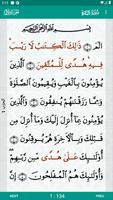 Al-Quran (Pro) ภาพหน้าจอ 1
