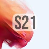 S21 Theme Kit icon