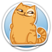 Cat Persik Stickers - WAStickerApps