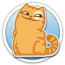 Cat Persik Stickers - WAStickerApps APK