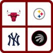 Guess the Sports Team