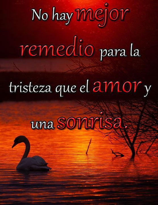 Imagenes con Frases Bonitas for Android - APK Download