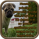 Reflexiones Sobre la Vida APK