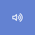 Speaker Cleaner