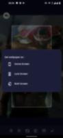 Anime Pirate Wallpaper captura de pantalla 3