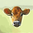 APK Bulls & Cows