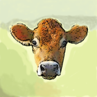 Bulls & Cows icône