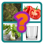 Preguntas y respuestas 1 foto