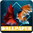 Free Wallpaper Betta Fish APK