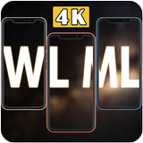 WL ML SKIN