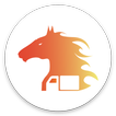 Chetak icon