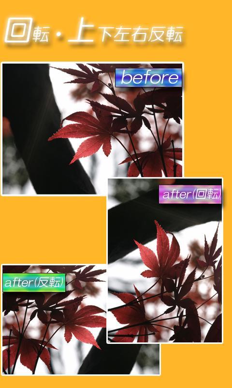 Android 用の 画像の編集屋さん 写真 画像リサイズ 画像編集 トリミング リサイズ 写真編集 Apk をダウンロード Android 用の 画像の編集屋さん 写真 画像リサイズ 画像編集 トリミング リサイズ 写真編集 Apk をダウンロード