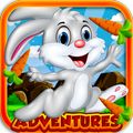 Jungle Bunny Run Adventure