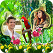 rừng khung ảnh kép