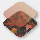 Autumn Theme for iWall APK