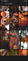 Autumn Theme Affiche