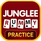 Indian Rummy : Play Rummy Game アイコン