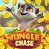 Fortune Jungle Chase APK