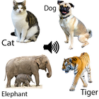 Tiergeräusche Zeichen