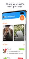 SpotPet 截图 3