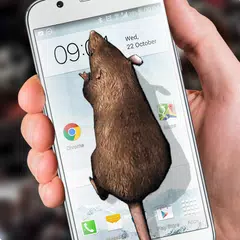 Mouse on Screen Scary Joke APK download