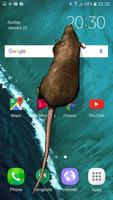 Мышь на экране Страшная Шутка постер