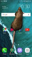 Mouse on Screen Scary Joke پوسٹر