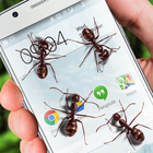 Hormigas en pantalla de broma icono