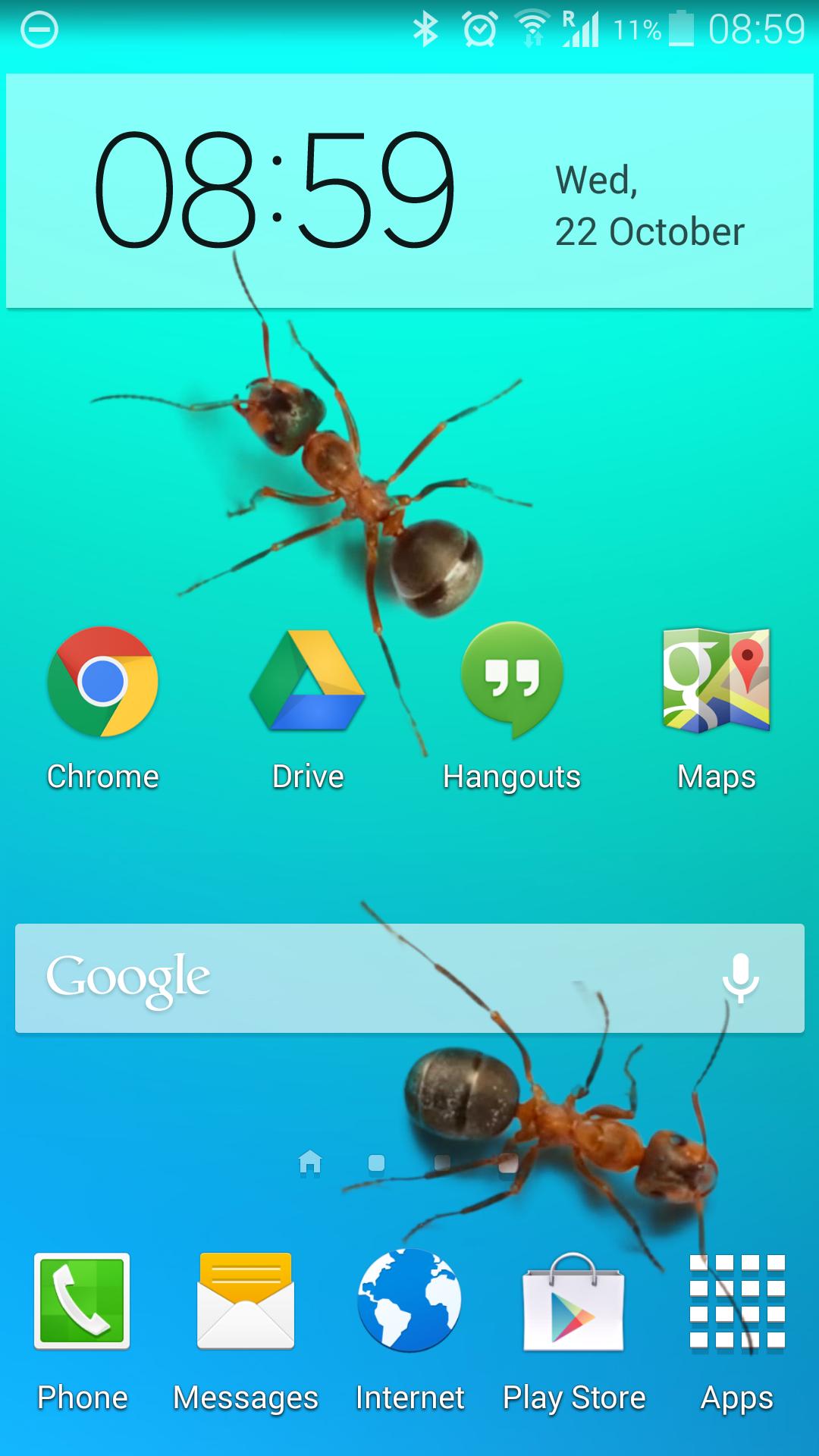 Ants on screen funny joke APK for Android Download Ants on screen funny joke APK for Android Download
