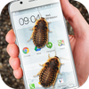 Bug in Phone funny joke icon Bug in Phone funny joke icon
