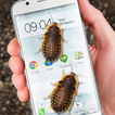 Kakerlaken im Telefon Witz