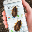 Bug in Phone funny joke APK