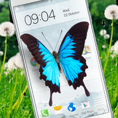Butterfly in Phone lovely joke-icoon