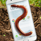 Earthworm in phone slimy joke icon