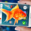 Poisson dans l'aquarium de téléphone : Blague