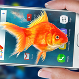 Fish In Phone Aquarium Joke আইকন
