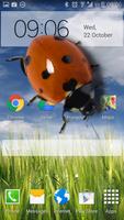 برنامه‌نما Ladybug in Phone Funny joke عکس از صفحه