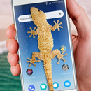 Lizard in phone funny joke APK