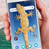 Lizard in phone funny joke আইকন