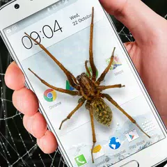 Spider in phone funny joke Icon
