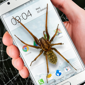 Spider in phone funny joke icon