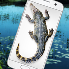 Crocodile au téléphone blague icône